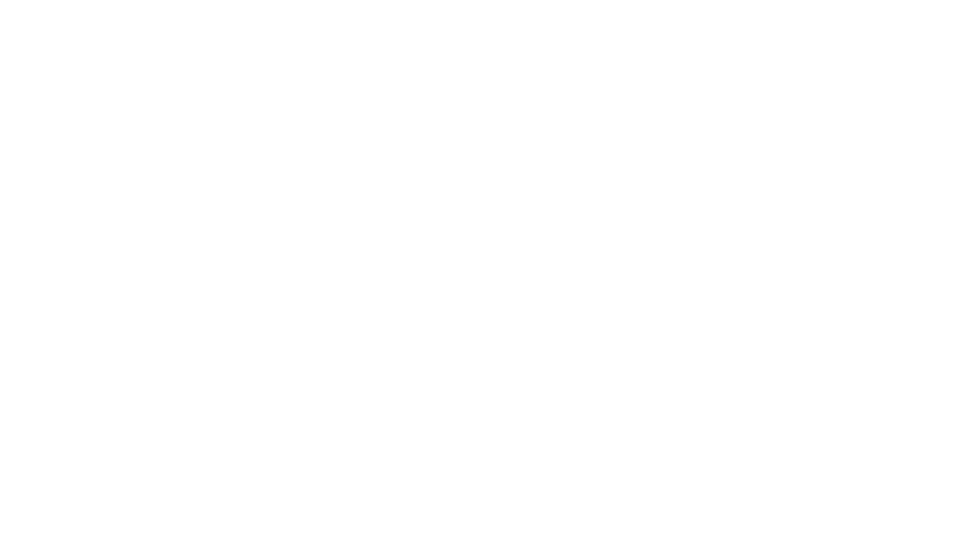 dpa-professionals-logo-white