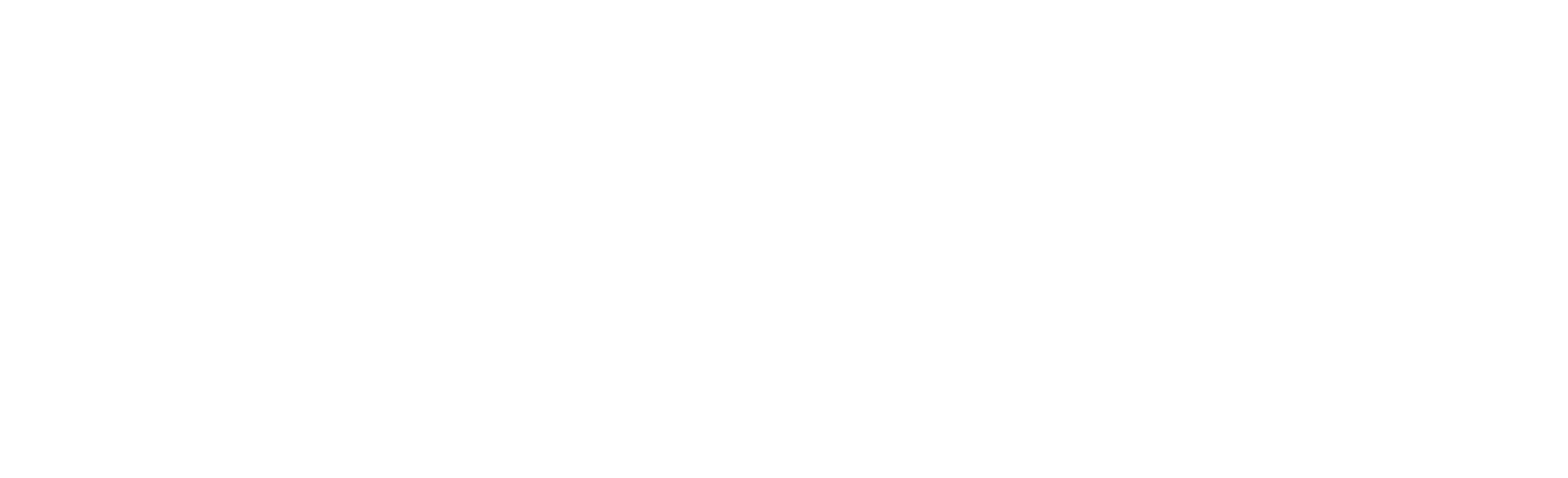 matrixian-group-logo-white